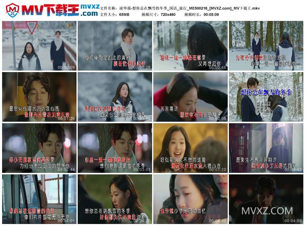 凌华强-想你总在飘雪的冬季_国语_流行_ME500218